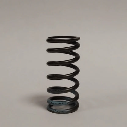 1x Genuine Valve Spring - Ford KA 2016-2019 1.5L / 1.9L | 1349006