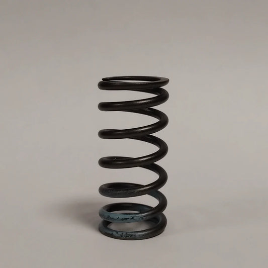 1x Genuine Valve Spring - Ford KA 2016-2019 1.5L / 1.9L | 1349006