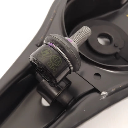Genuine Kia Arm Complete-Rr Lwr, | 55210G2501QQK
