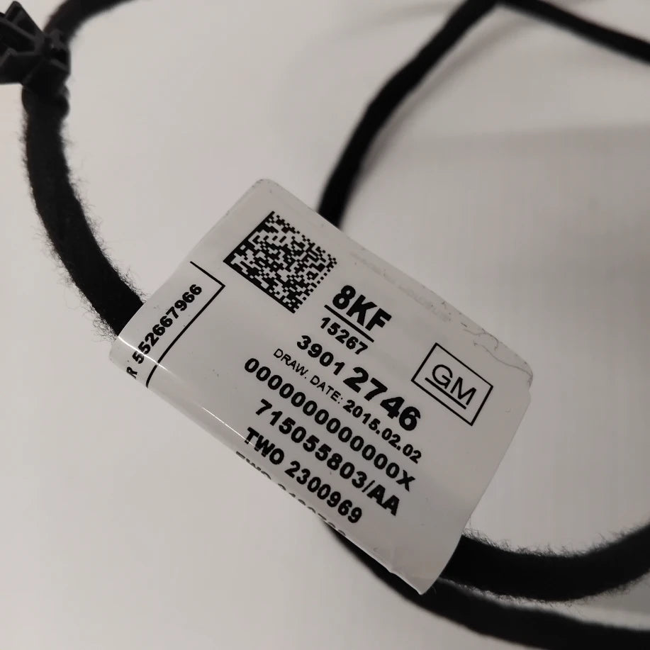 Genuine Vauxhall O:Door Hrns | 39012746