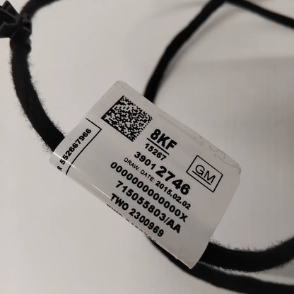 Genuine Vauxhall O:Door Hrns | 39012746