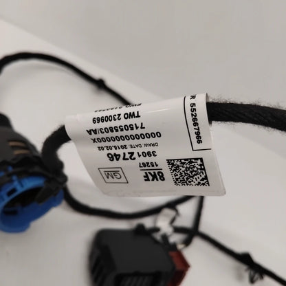 Genuine Vauxhall O:Door Hrns | 39012746