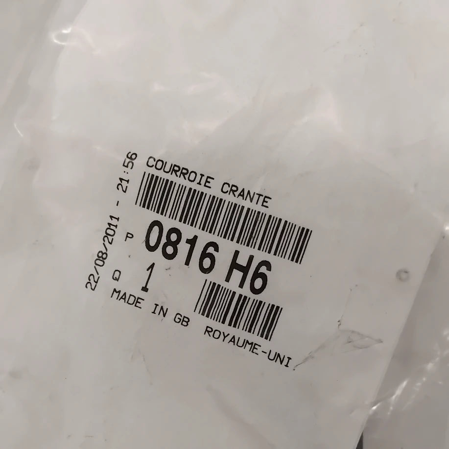 Genuine Peugeot Timing Belt | 0816H6