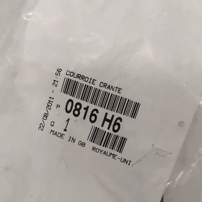 Genuine Peugeot Timing Belt | 0816H6