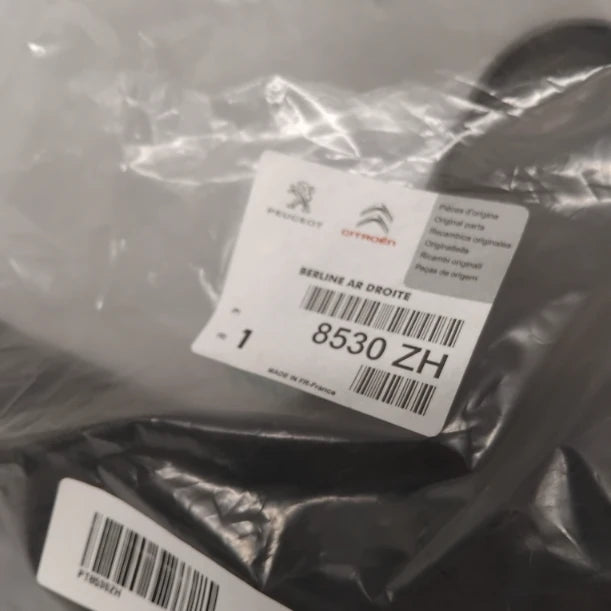 Genuine Peugeot Bumper Mudflap | 8530ZH