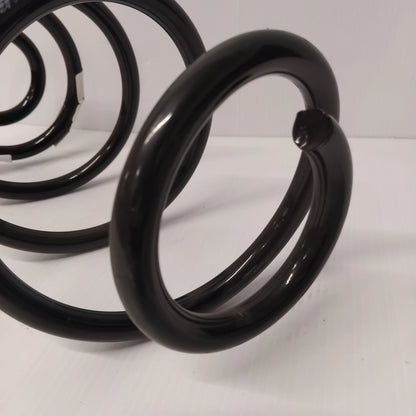 Genuine Fiat Spring | 51850391