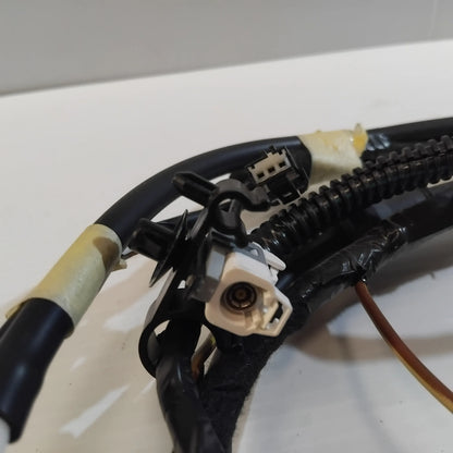 Genuine Tailgate Wiring Loom - Ford Focus 2014-2019 | 2045852