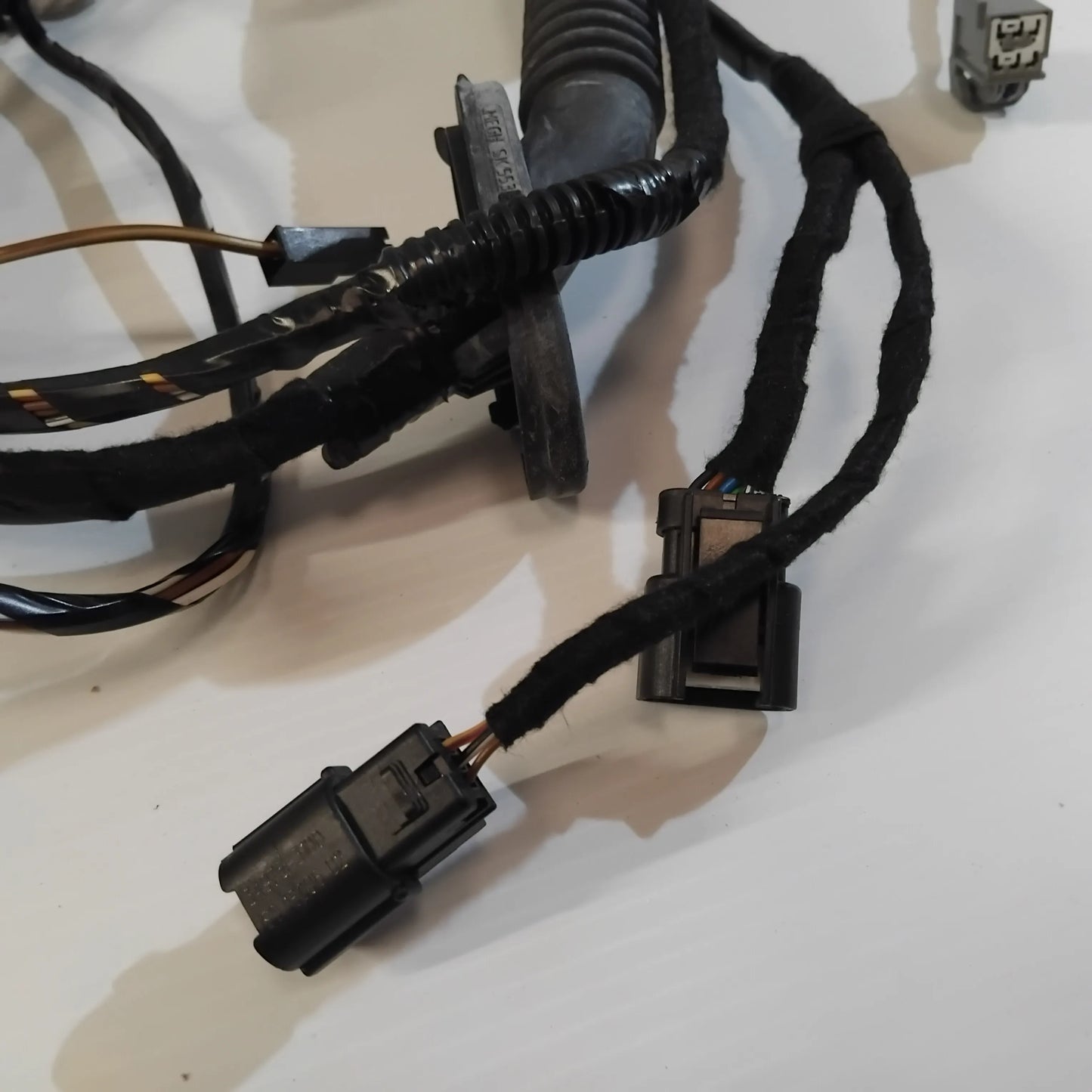 Genuine Tailgate Wiring Loom - Ford Focus 2014-2019 | 2045852