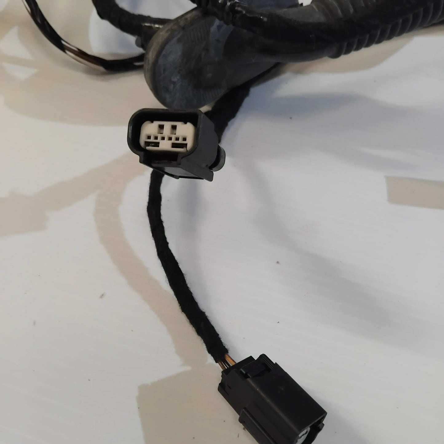 Genuine Tailgate Wiring Loom - Ford Focus 2014-2019 | 2045852