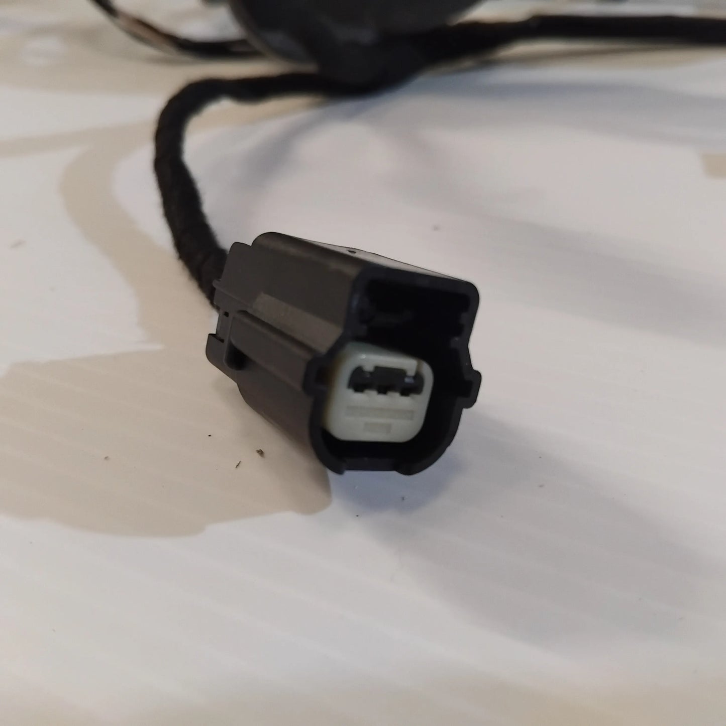 Genuine Tailgate Wiring Loom - Ford Focus 2014-2019 | 2045852