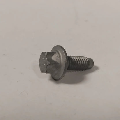 Genuine Fiat Screw | 811900001