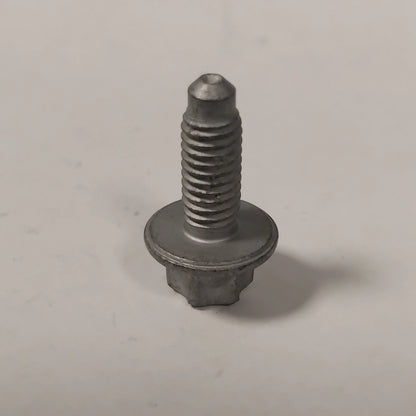 Genuine Fiat Screw | 811900001