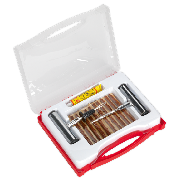 Sealey Temporary Puncture Repair Kit | TST10