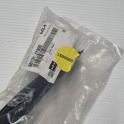 Genuine Kia Moulding Assy | 86131J7000