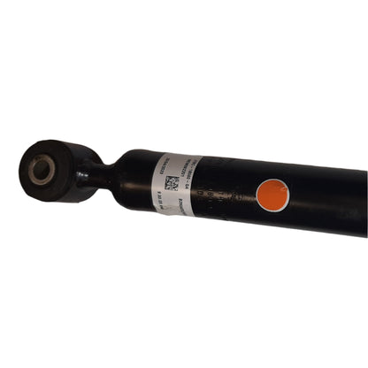 Genuine Ford Shock Absorber Assy | 2248150