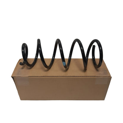 Genuine Fiat Spring | 6000615662