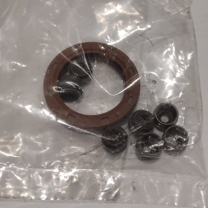 Genuine Fiat Gaskets For Val | 71741374