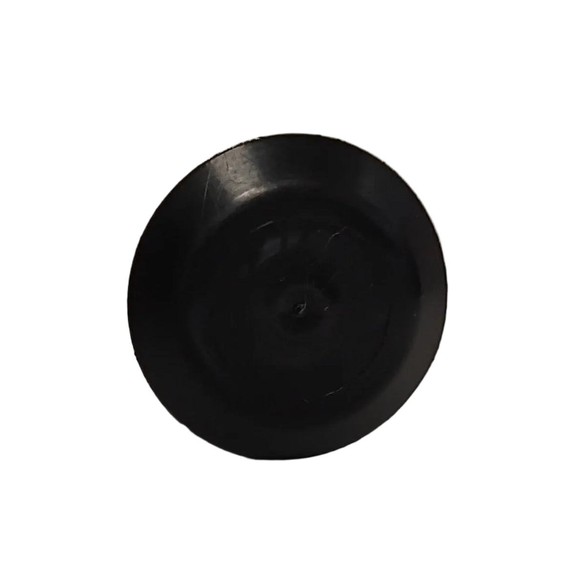 Genuine Ford Plug - Blanking | 1009320
