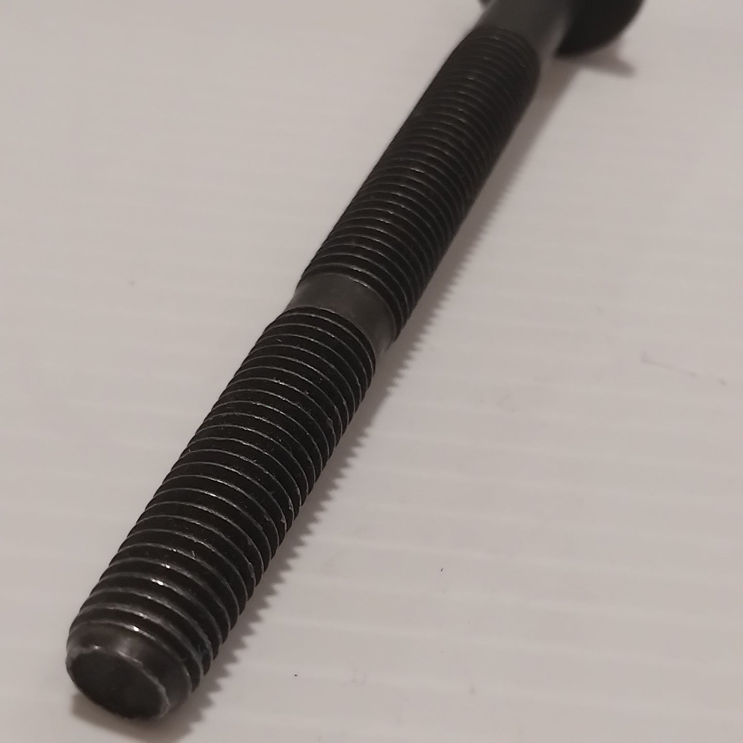 Genuine Ford Screw | 1549981