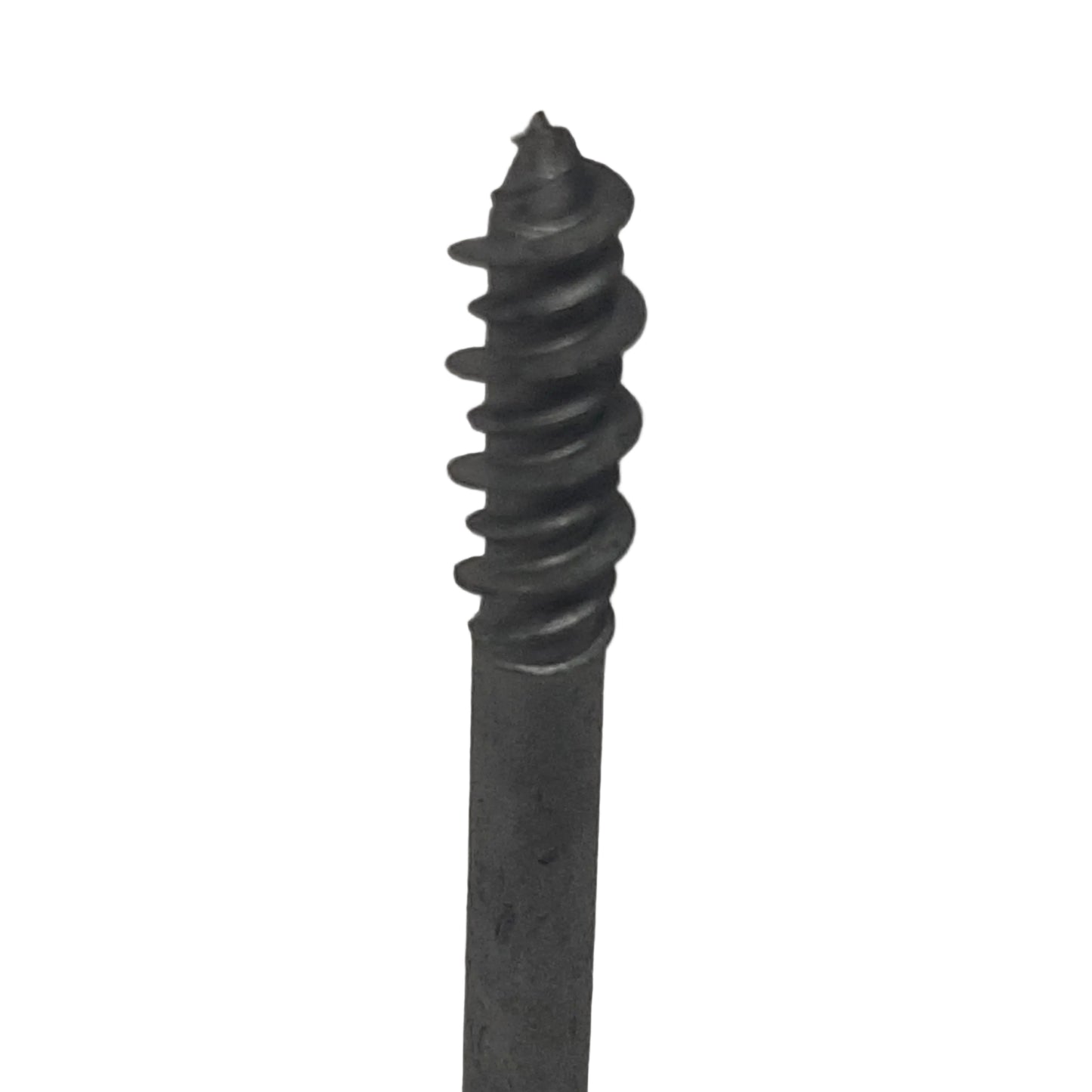 Genuine Fiat Screw | 51903465