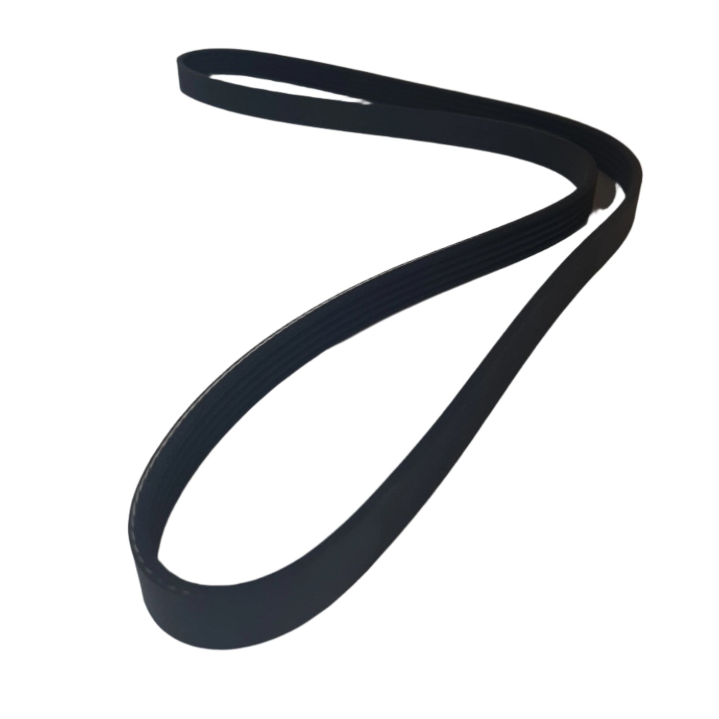 Dayco Belt Fiat Compatible 55219226 | WD2039