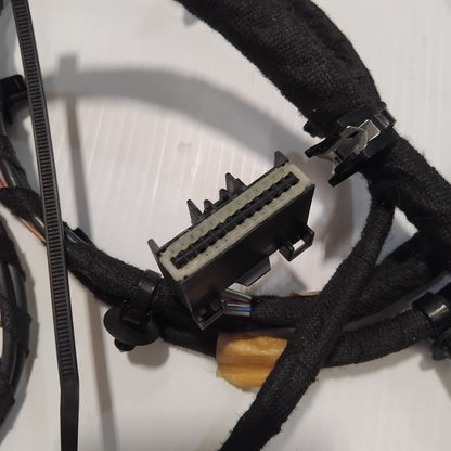 Genuine Audio Link Wire Assembly - Ford | 1849328