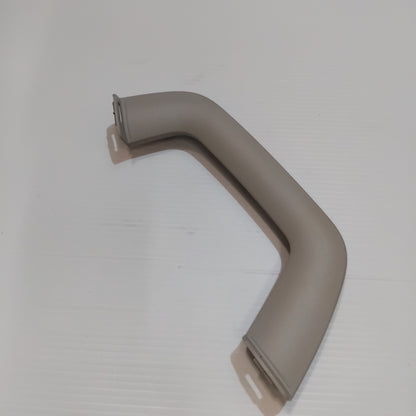 Genuine Ford Handle - Assist | 2203858