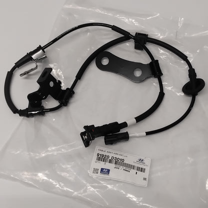 Genuine Hyundai Cable Assy-Abs.Ext,L | 91920D3010