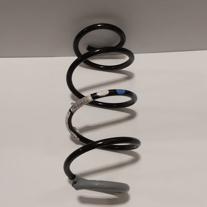 Genuine Renault Spring | 54 01 098 38R