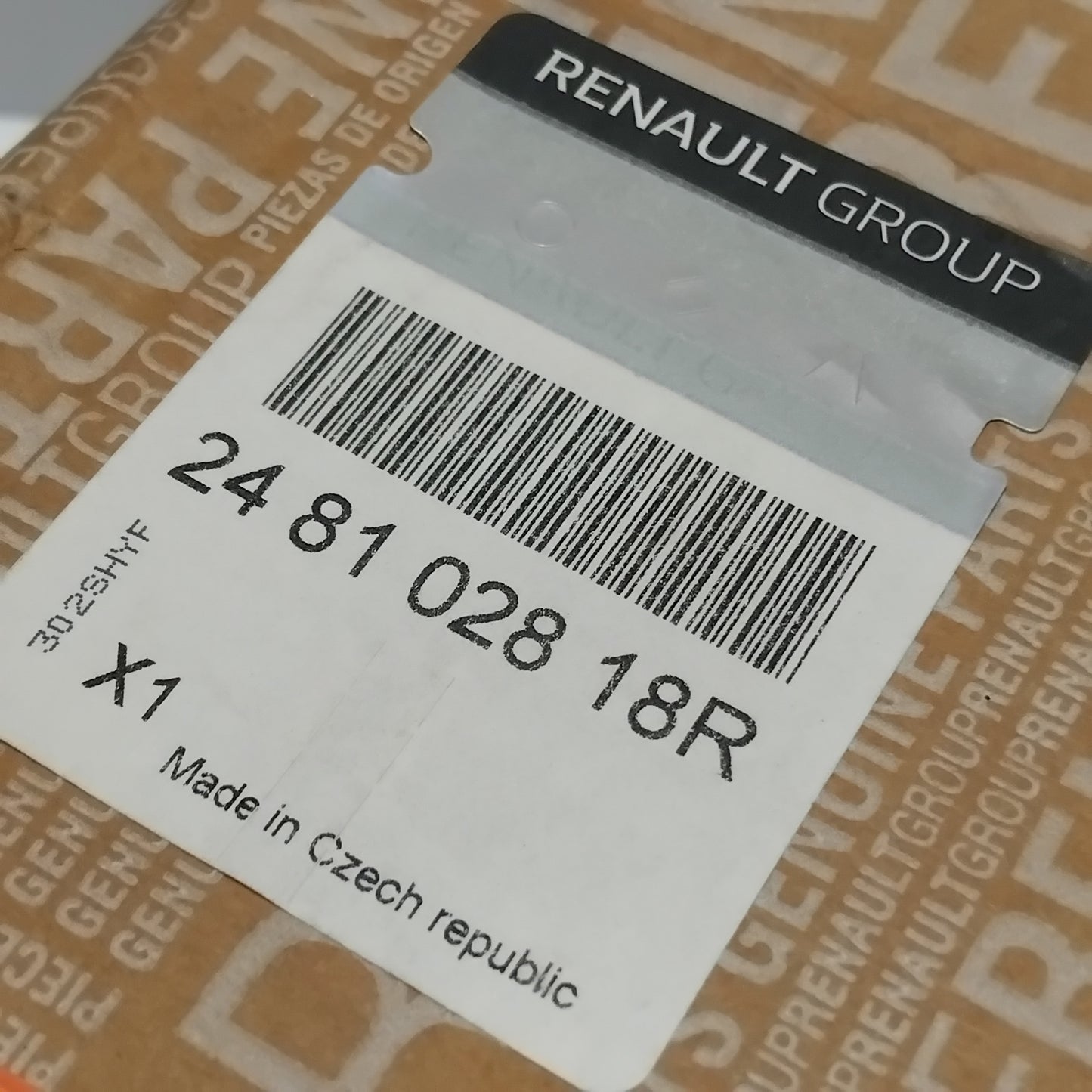 Genuine Renault Instrumental Pane | 24 81 028 18R