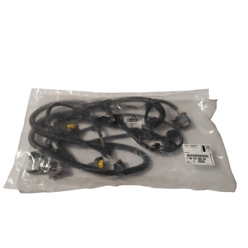 Genuine Peugeot Detection Loom | 9816195680