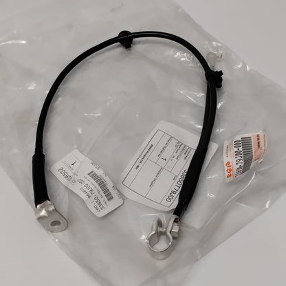 Genuine Suzuki Cable Btry Gnd | 33850-79J00-000