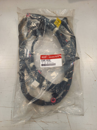 Genuine Kia Wiring Assy-Fr Dr,Dr | 916001W530