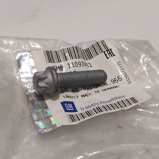 Genuine Vauxhall Screw | 11097431