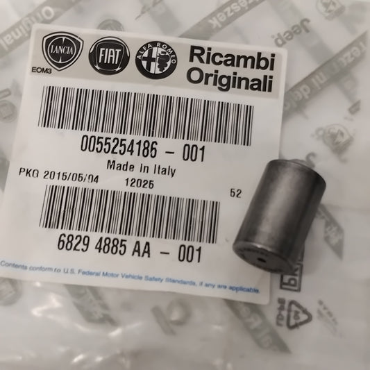 Genuine Gear Fork Rod Plug - Fiat Panda / 500 / Punto - Diesel | 55254186