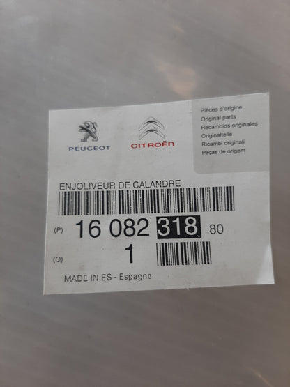 Genuine Peugeot Grille Moulding | 1608231880