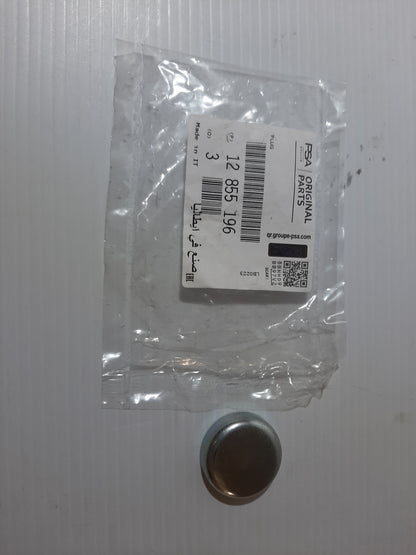 Genuine Vauxhall Plug | 12855196