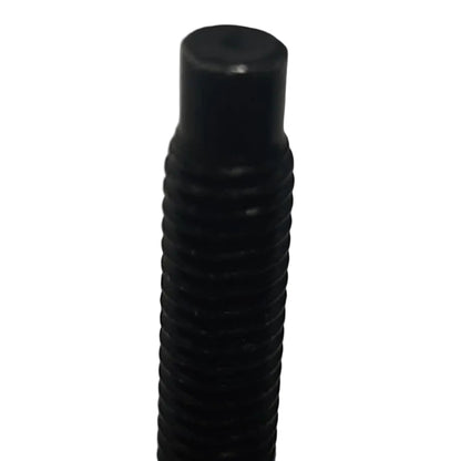Genuine Fiat Screw | 670003766
