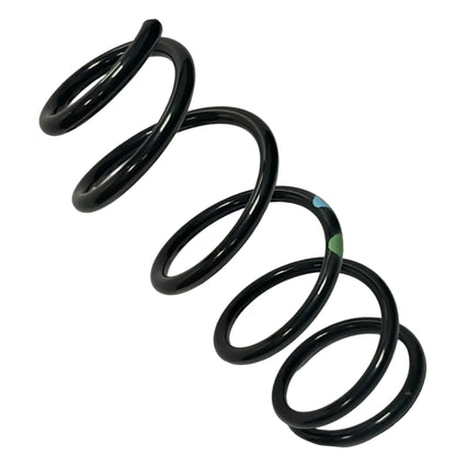 Genuine Fiat Spring | 6000615662