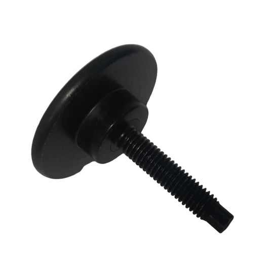 Genuine Fiat Screw | 670003766