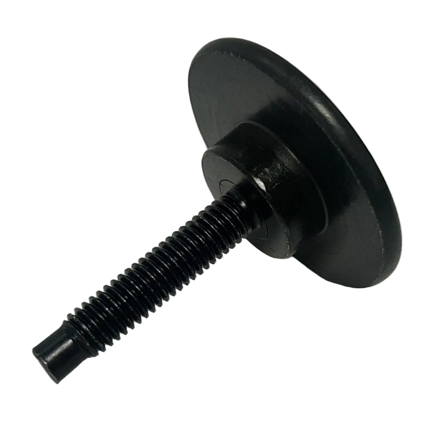 Genuine Fiat Screw | 670003766