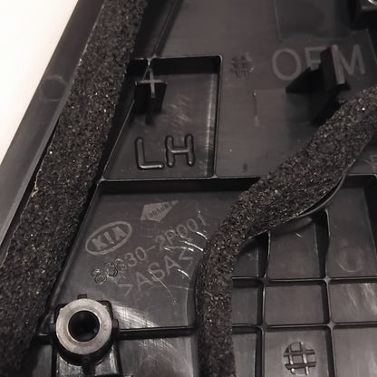 Genuine Left Rear Door Moulding - Kia Sorento 2009-2014 | 838302P001