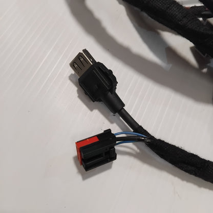 Genuine Audio Link Wire Assembly - Ford | 1849328