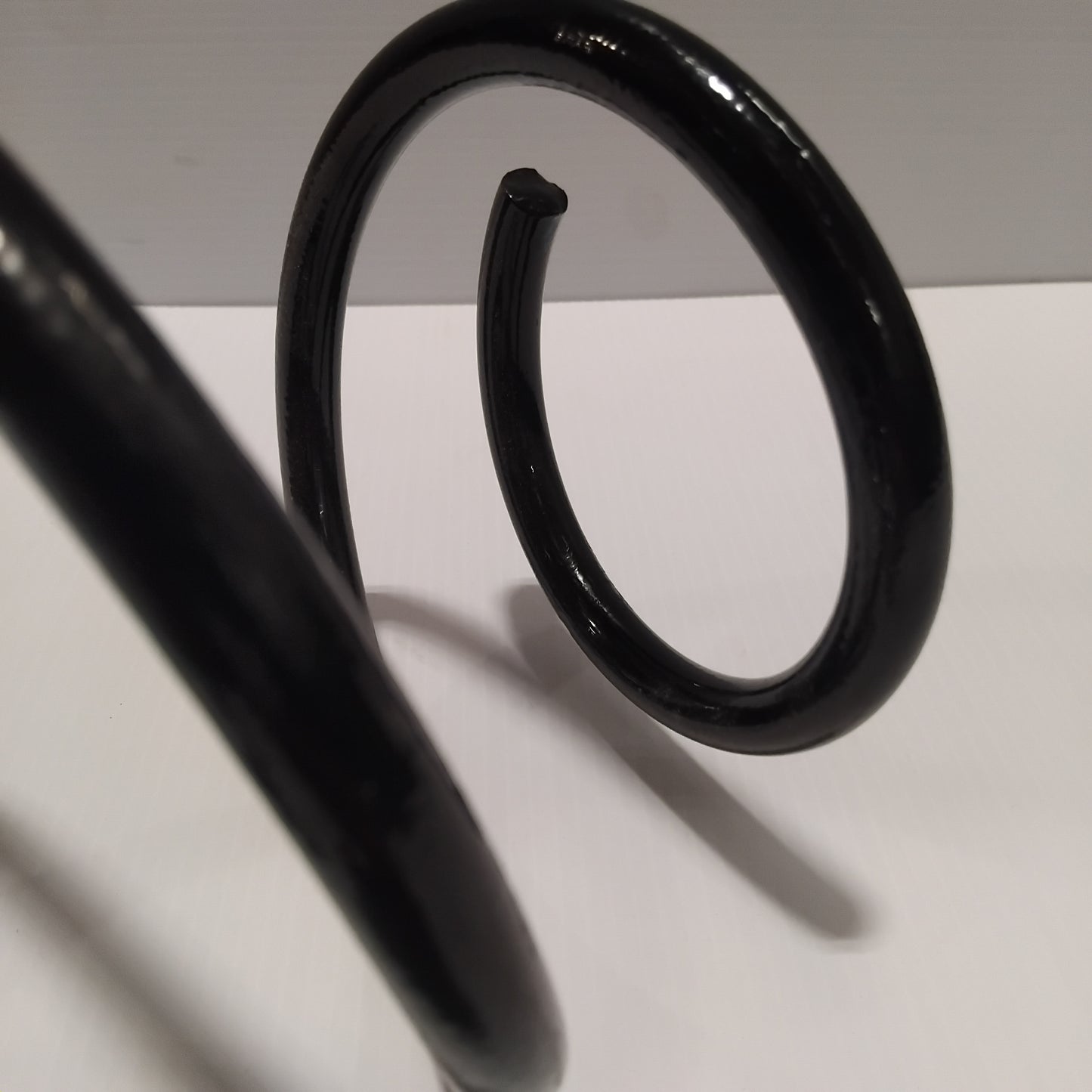 Genuine Renault Spring | 54 01 098 38R