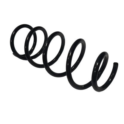 Genuine Fiat Spring | 6000615662