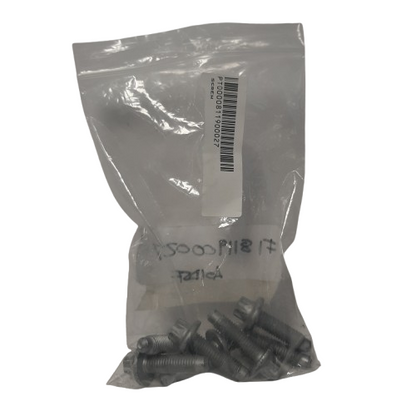 Genuine Fiat Screw | 811900027