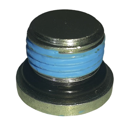 Genuine Fiat Plug | 55249565