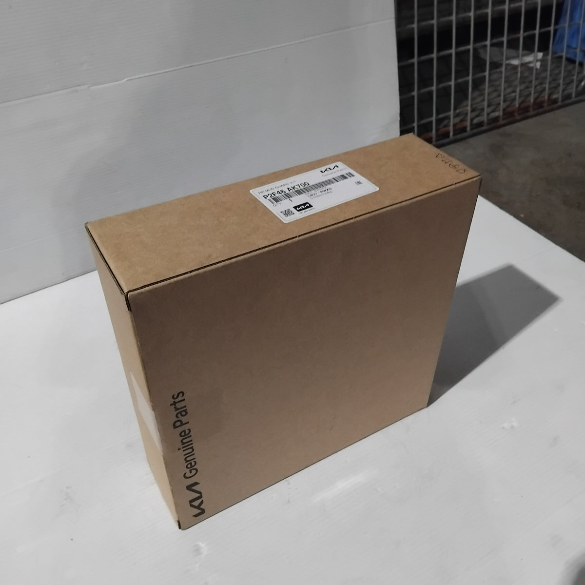 Genuine Kia Rr Mud Guard Kit | P2F46AK700