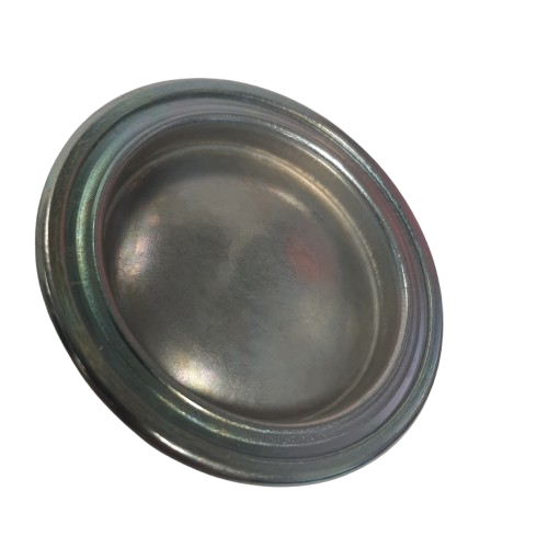 Genuine Fiat Plug | 55182787