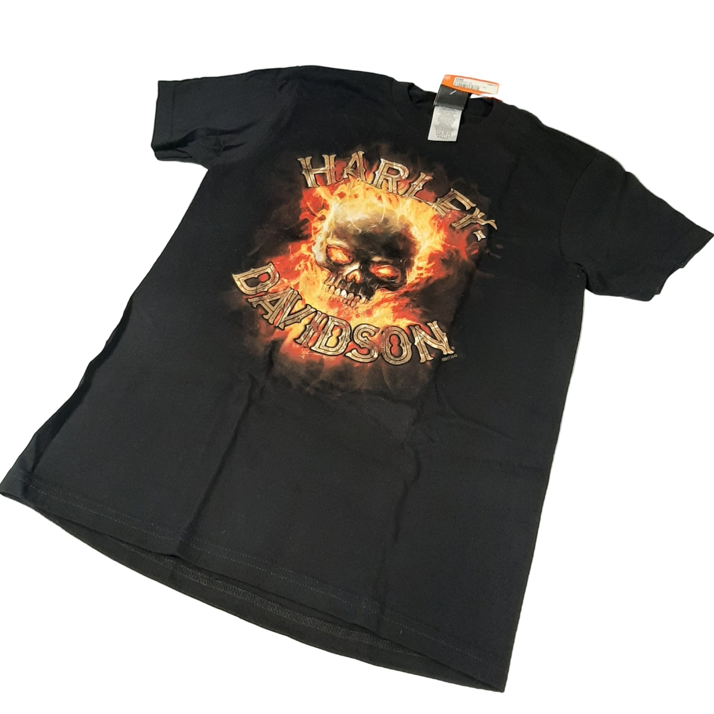Genuine Harley Davidson S Skull Fire Robin Hood Men's T-shirt - Small | R0023713